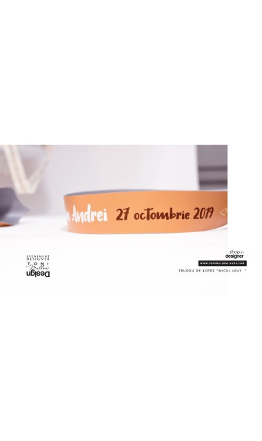 Trusou botez cu leu, brodat de inspiratie exotica, jungla, animale Micul Pui Leu 19